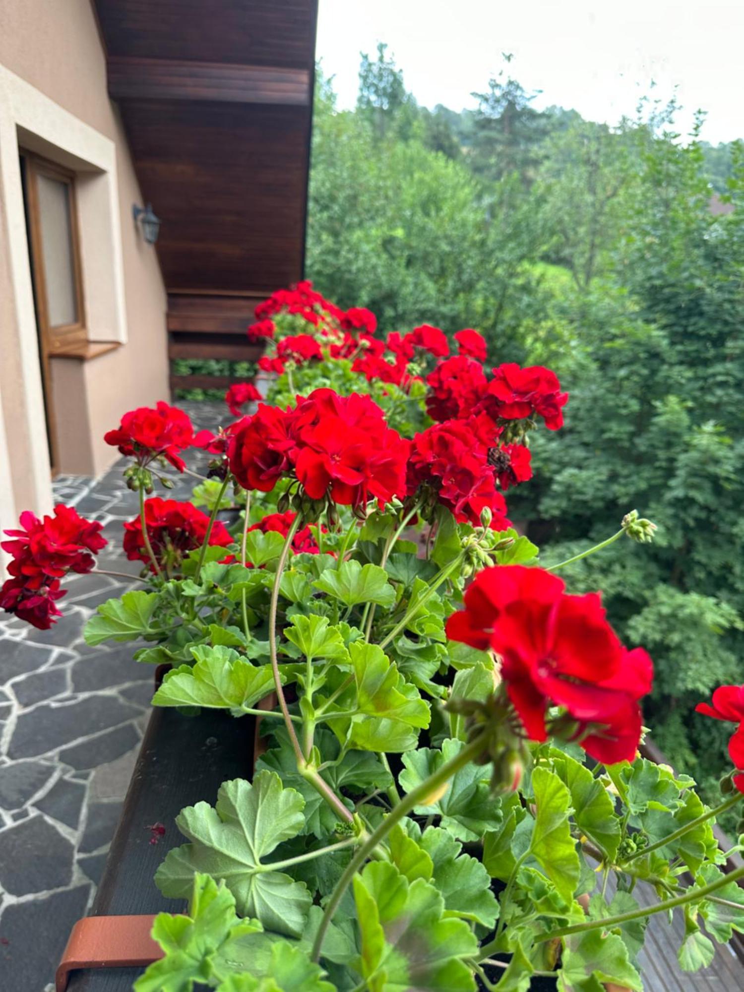 Holiday Home Skalka Mýto pod Ďumbierom 외부 사진